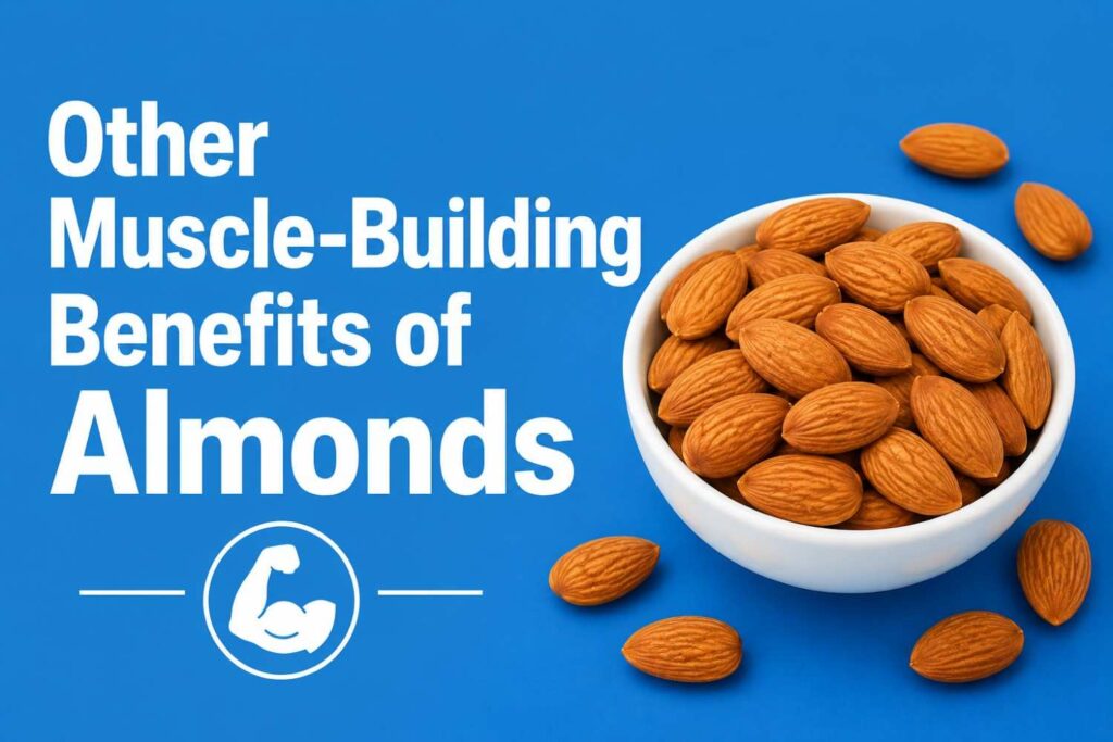Bowl of almonds showing muscle-building benefits.